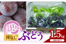 【訳あり】ぶどう 300g×5袋 N053-YA5511