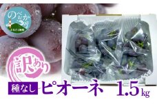 【訳あり】ピオーネ 300g×5袋 N053-YA5510