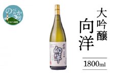 大吟醸向洋1800ml N041-YZB418