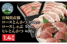 豚ロースとんかつ100g×5ロースしゃぶ500gヒレとんかつ400g計1.4kg N0147-YA764