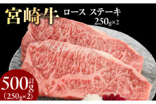 宮崎牛ロースステーキ 250g×2 計500g N0147-YB725
