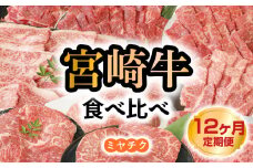 【12ヶ月定期便】宮崎牛食べ比べ N0147-YG0212