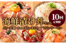 お魚の漬け丼バラエティ10回定期便 N019-YG0190