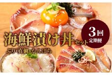 お魚の漬け丼バラエティ3回定期便 N019-YC712