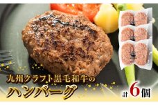 九州クラフト黒毛和牛のハンバーグ(100g×2個入り)×3パック N0105-YA0303