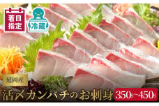 【冷蔵】延岡産活〆カンパチのお刺身 N019-YA2258