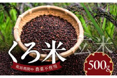 米くろ米500g N0182-YA0472