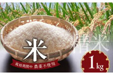 米 1kg N0182-YA0473