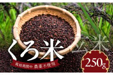 米くろ米250g N0182-YA0471