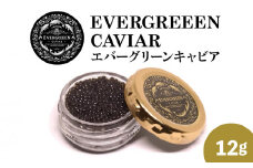 宮崎県産キャビアEVERGREEENCAVIARエバーグリーンキャビア12g N0183-YC221