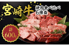 宮崎牛 焼肉食べ比べ6種盛600g N0140-YB446