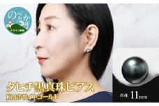 タヒチ黒真珠 ピアス 真珠 11mm 14Kホワイトゴールド　N0119-YI025
