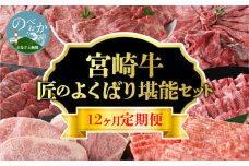 【定期便12回】宮崎牛 匠のよくばり堪能コース N0140-YI031
