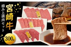 宮崎牛極み上焼肉セット 合計 300gN0140-YB086