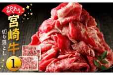 【訳あり品】宮崎牛 切り落とし1kg N0140-YA4425