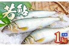 若鮎1㎏【冷凍】 N070-YA3369_2
