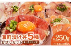 【冷凍】海鮮漬け丼5種お試しセット N019-YA192
