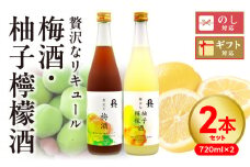贅沢なリキュール(梅酒・柚子檸檬酒)2本セット N076-YA598