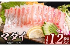 マダイ（内臓ウロコ取り）1尾分 N015-YA3329