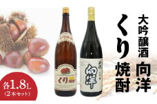 くり焼酎 向洋(千徳)酒セット N0115-YC708