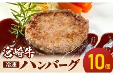 宮崎牛ハンバーグ100ｇ×10個 N124-YD0199