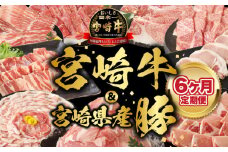 【6ヶ月定期便】宮崎牛･宮崎県産豚 N0147-YF085