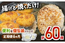 【6ヶ月定期便】便利な個包装シリーズ N124-YG0192