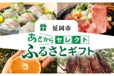 あとからセレクト1.5万円 N0159-YA5512