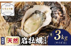 延岡産天然岩牡蠣（生食用）3㎏（小）（2025年4月1日から発送開始） N036-YZA525
