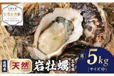 延岡産天然岩牡蠣（生食用）5㎏（中）（2025年4月から発送開始 N036-YB306