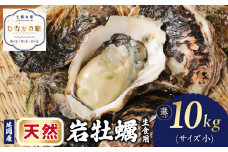 延岡産天然岩牡蠣（生食用）10㎏（小） N036-YZD025