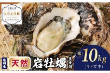 延岡産天然岩牡蠣（生食用）10㎏（中） N036-YZD026