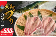 大和ブリのスペアリブ 約300g×2パック N072-YA0435