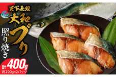天下無双 大和ブリの照り焼き N072-YA2257
