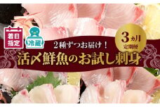 人気のお刺身3ヶ月定期便 少量2種ずつお届け N019-YC911