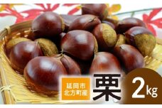 【先行予約】延岡市北方産 栗2kg(2025年8月下旬より発送開始) N048-YA2260