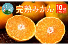 早生みかん及び普通みかん 10kg N0132-YB095
