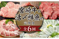 宮崎牛と活〆鮮魚の豪華6回定期便 N0159-YG033