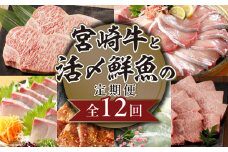 宮崎牛と活〆鮮魚の豪華な12回定期便 N0159-YH046