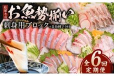 【6ヶ月定期便】(冷蔵)結城水産のお魚勢ぞろい！お刺身用ブロック N015-YF092