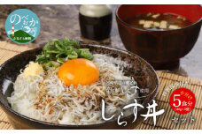 しらす丼セット(40g×5袋)特製醤油付き N065-YA0221