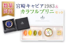 数量限定 宮崎キャビア1983 20g カラフルブリニ 日南市ふるさと納税オリジナル セット 魚卵 魚介 魚貝 国産 おつまみ 世界三大珍味 黒いダイヤ 贅沢 高級 ご褒美 お祝い 記念日 お取り寄せ グルメ おすすめ パーティー オードブル 詰め合わせ 送料無料_JB4-25