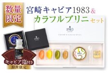 数量限定 宮崎キャビア1983 20g カラフルブリニ 日南市ふるさと納税オリジナル セット 期間限定 キャビア塩付き 魚卵 魚介 魚貝 国産 おつまみ 三大珍味 黒いダイヤ 贅沢 高級 ご褒美 お祝い 記念日 おすすめ パーティー オードブル 詰め合わせ 送料無料_JB4-25-C