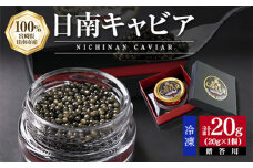 日南CAVIAR キャビア 計20g 魚卵 黒いダイヤ チョウザメ 魚介 魚貝 日南市産 国産 食品 人気 高級 上質 贅沢 高級 希少 三大珍味 水産物 おつまみ ご褒美 記念日 お祝い パーティー 贈り物 ギフト プレゼント お取り寄せ グルメ おすすめ 宮崎県 送料無料_F10-191