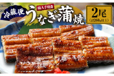 職人 手焼き うなぎ蒲焼 2尾 計260g以上 鰻 魚介類 伝統の味 秘伝のタレ 厳選 国産 ウナギ おかず 食品 加工品 真空パック 冷蔵 人気 おすすめ うな重 うな丼 惣菜 お土産 ひつまぶし うなぎ寿司 お祝い 贈り物 ギフト 贈答 プレゼント 宮崎県 日南市 送料無料_CD40-23