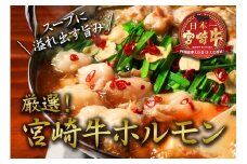 安楽畜産 厳選 宮崎牛 ホルモン 計500g 国産 牛肉 ビーフ 黒毛和牛 ブランド牛 おかず おつまみ 上質 コラーゲン もつ モツ鍋 焼肉 BBQ 鉄板焼き グランピング 晩ご飯 人気 おすすめ お祝 記念日 お取り寄せ グルメ 安楽牛 冷凍 宮崎県 日南市 送料無料_BB116-23