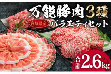 万能 豚肉 3種 バラエティ セット 合計2.6kg 国産 ポーク 食品 豚ロース 豚バラ 豚切り落とし 豚ミンチ ひき肉 豚肩 おかず お弁当 おつまみ 焼肉 しゃぶしゃぶ ハンバーグ 炒め物 小分け お祝 パーティー お取り寄せ 詰め合わせ 宮崎県 日南市 送料無料_BA70-23