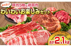 豚肉 5種 鶏肉 肩肉 みんなでわいわい お楽しみ セット 合計2.1kg ポーク チキン 国産 食品 おかず お弁当 おつまみ 加工品 豚バラ スライス 切落し みそ漬け トンテキ 生姜焼き 万能食材 簡単調理 詰め合わせ 焼肉 お取り寄せ 宮崎県 日南市 送料無料_BD107-25