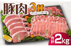 豚肉 3種 バラエティ セット 合計2kg 国産 宮崎県産 ポーク 豚ロース 切り落とし スライス おかず お弁当 おつまみ 食品 グルメ しゃぶしゃぶ とんかつ用 万能食材 焼肉 詰め合わせ 小分け 人気 おすすめ お取り寄せ おすそ分け 日南市 送料無料_BB120-23