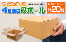 サイズが選べる 4種類 段ボール 計20枚【60サイズ茶箱(250×220×110 3mm)】日用品 雑貨 ダンボール 箱 規定サイズ 紙製品 引っ越し 整理 収納 片付け 荷造り 新生活 包装資材 梱包 資材 外装材 パッケージ 工作 仕送り 品物発送 書類発送 おすすめ 事務用品 宮崎県 日南市 送料無料_AA52-23-01